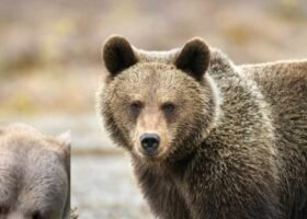 होर्मुज नाकाबंदी: अमेरिका का कदम भारत समेत देशों को भारी पड़ेगा