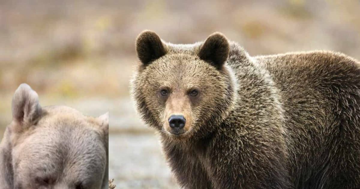 होर्मुज नाकाबंदी: अमेरिका का कदम भारत समेत देशों को भारी पड़ेगा